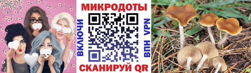 Псилоцибиновые грибы GOLDEN TEACHER  купить  сайты  Пустошка 
